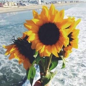 Meet your Posher, Cris